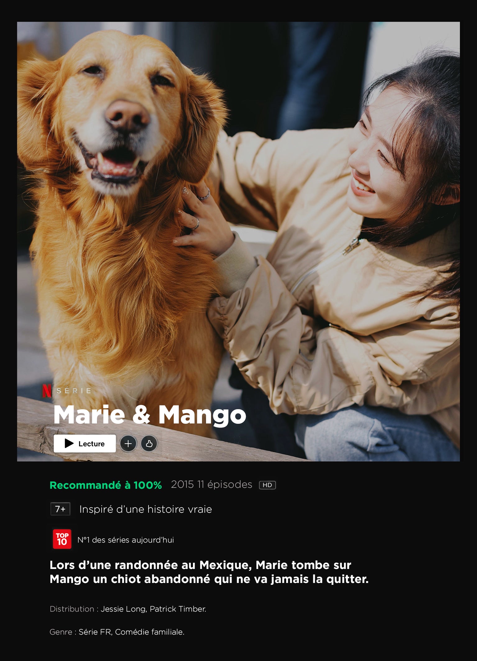 Pack d'affiches (imprimée A4 + numérique) - Printflix