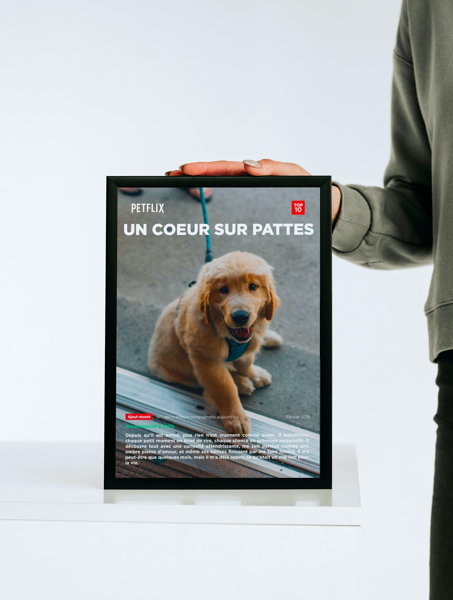 Affiche My Pet