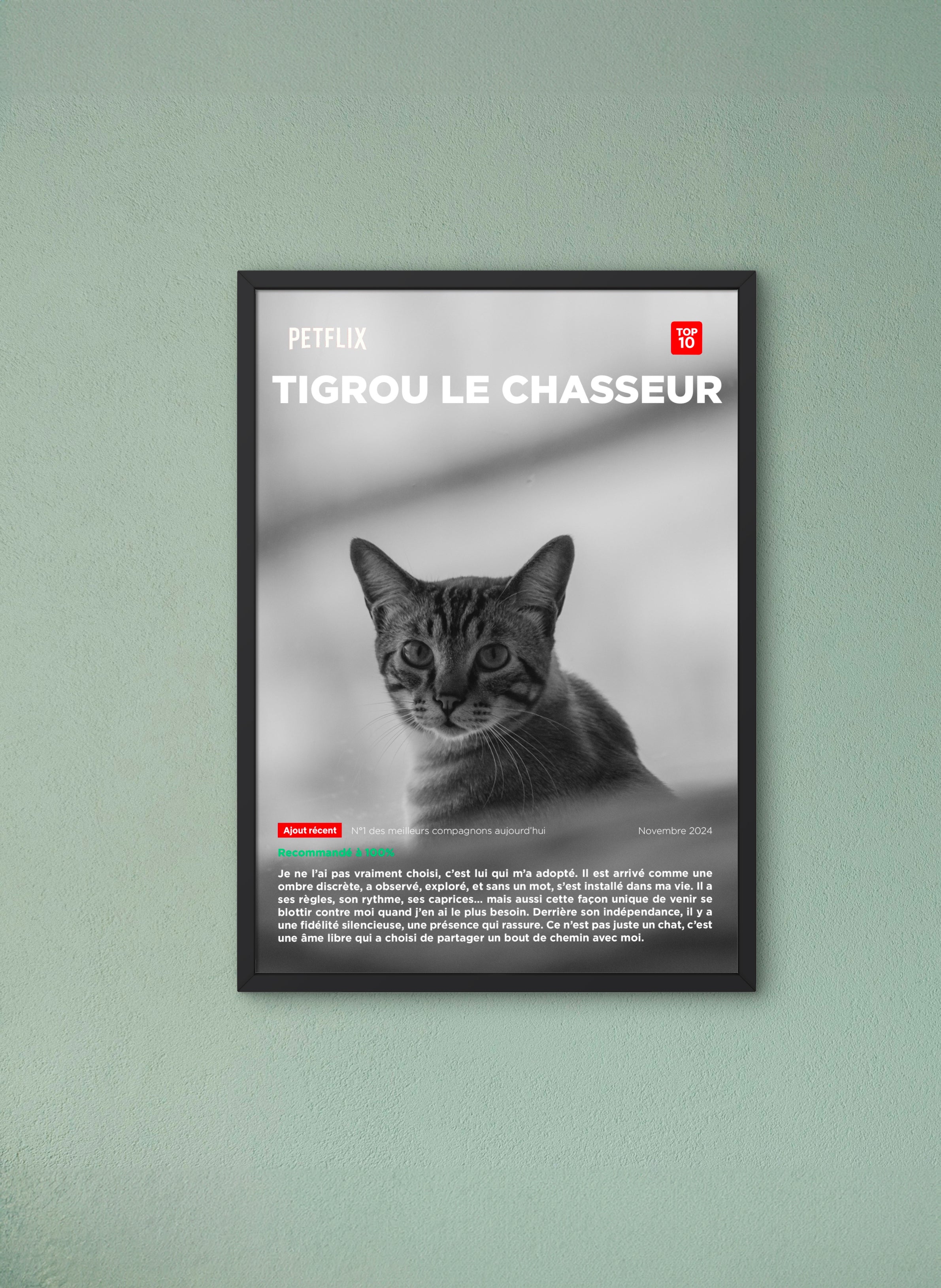 Affiche My Pet