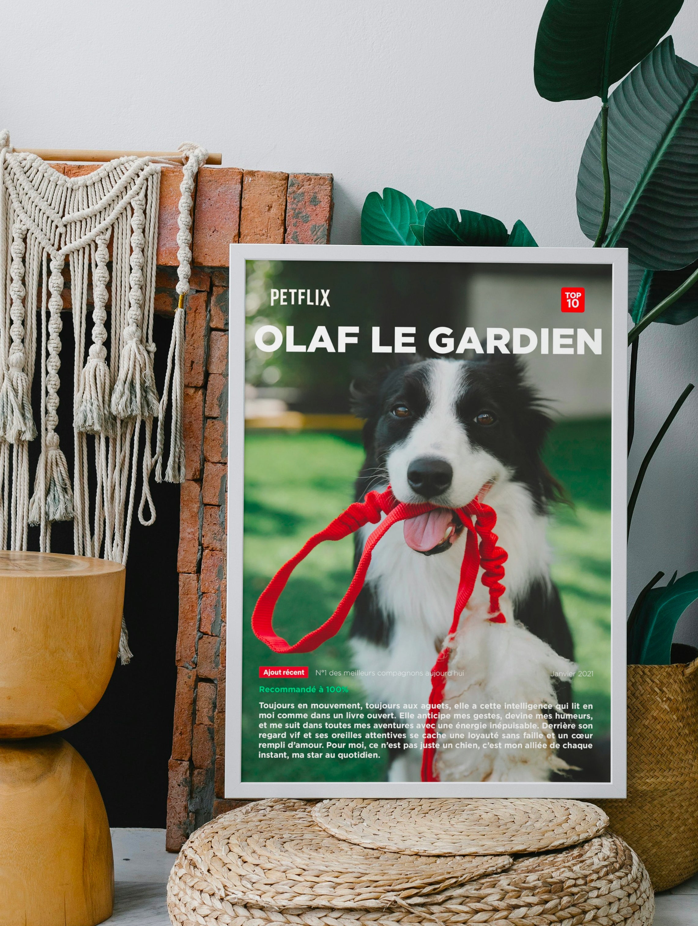 Affiche My Pet